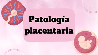 Patología placentaria [upl. by Llirrem]