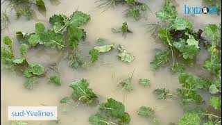 Inondations en CentreVal de Loire et ÎledeFrance MAJ [upl. by Aenea]