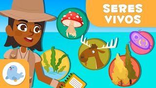 Clasificación de los SERES VIVOS 🦠 🐰 5 REINOS 🌱 Ciencias para niños [upl. by Nodnar]