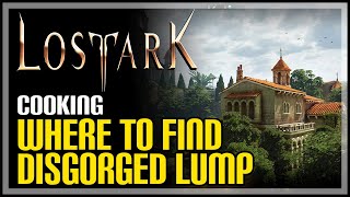 How to Get Disgorged Lump Lost Ark [upl. by Womack]