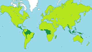 Facts about Tropical Rainforests [upl. by Casteel]