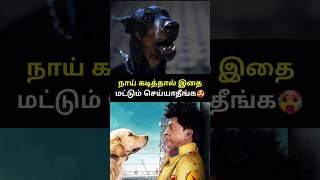 நாய் கடித்தால் இதமட்டும் செய்யாதீங்க 🤯🥵 shorts dogbite [upl. by Peppel]