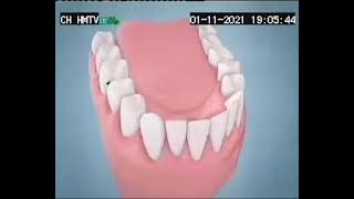 Dentiste Toothpaste Premium Care Edit Down 15sec 01 11 21 HM [upl. by Tilford]