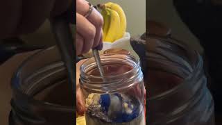 food snacks springtime tropical trendingshorts Tropical chia pudding recipe in comments 🌈💕🫶 [upl. by Rowley]