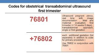 CPT CODING GUIDELINES FOR RADIOLOGY PART 3  Diagnostic Ultrasound Pelvis obstetrical [upl. by Einahpts455]