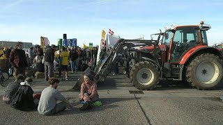 Colère des agriculteurs  mobilisation au péage de SaintQuentinFallavier Isère  AFP Images [upl. by Leahcimrej313]