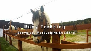 Pony Trekking in Speyside Scotland [upl. by Aniram981]