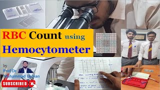 Red Blood Cell RBC Count using Hemocytometer  Neubauer chamber  hematology practical [upl. by Michale]