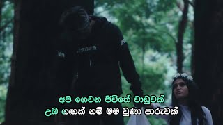 Ape Hadhakam  අපෙ හාදකම් Api Gewana Jeewithe  Official Karaoke [upl. by Nyraa528]