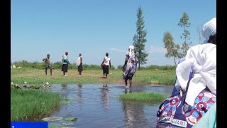 African activists pushing for loss and damage fund at COP29 [upl. by Madeline]