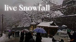 Narkanda Snowfall Today  Live Snowfall  Nnarkanda tourist places [upl. by Nonnahc]