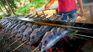 Sekali Bakar 14 Ikan Tongkol Jumbo [upl. by Jarita]