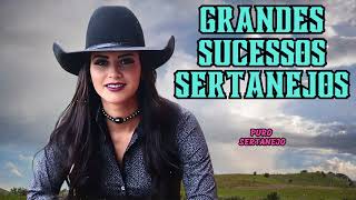 Módão Sertanejo  Grandes Sucessos [upl. by Omik517]