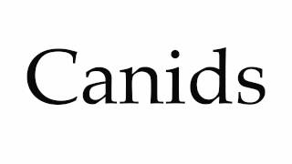 How to Pronounce Canids [upl. by Nata]