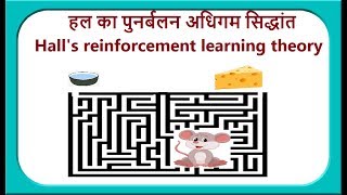 हल का पुनर्बलन सिद्धांत Halls reinforcement theory [upl. by Aicileb]