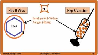 Viral Hepatitis Hepatitis A Hepatitis B Hepatitis C HBsAg HBeAg Vaccine HCV HBV HBsAb [upl. by Einot]