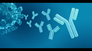 Antibody Structure [upl. by Chappell]