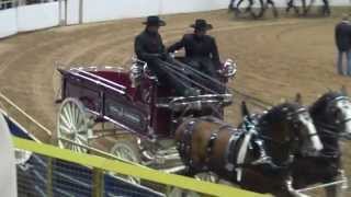 National Western Stock Show 2014 6 Horse Draft Horse Hitch [upl. by Jesher55]