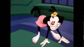 Animaniacs  What Are We English [upl. by Adamik]