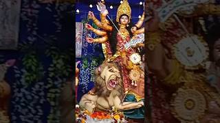 Joy durga maa minivlog jaymataji [upl. by Ylurt]