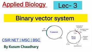 Binary vector system  Lec 3  Applied Biology  science workshop  Kusum Chaudhary MSCcsir net [upl. by Atnahs]