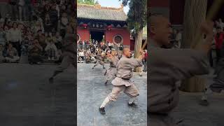 Amazing Shaolin cudgel skills [upl. by Assilaj951]