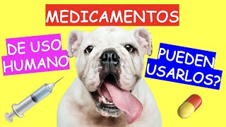 ¿Se puede USAR MEDICAMENTOS DE USO HUMANO en MASCOTAS [upl. by Ataynik338]