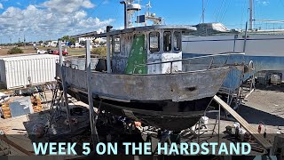 Week 5 on the hardstand [upl. by Daisy]