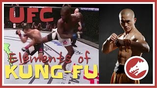 Kung Fu in UFC MUST WATCH [upl. by Benedetto]