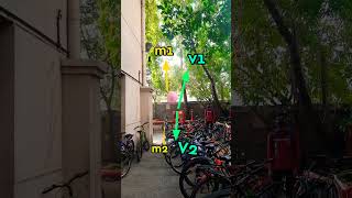 Concept of Conservation Of Momentum😃  shorts youtubeshorts momentum [upl. by Angi]