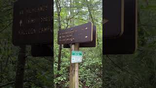 Appalachian Trail VA Near Raccoon Campground shorts [upl. by Ofelia]