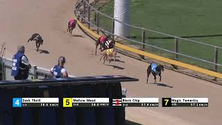 Gawler09102024Race5 [upl. by Stambaugh]