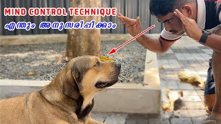 🧘 Mind control ചെയ്ത് നായയെ നിയന്ത്രിക്കാൻ ഒരു tip  How to mind control a dog [upl. by Yeldoow]