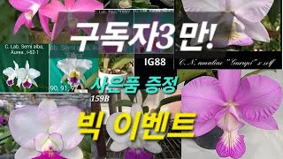 구독자 3만 빅이벤트 사은품 증정 난팔아요 2024년 첫번째 [upl. by Freiman614]