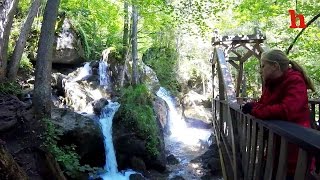 Myrafälle  schönste Wasserfälle in Niederösterreich  Austrias answer to Niagarafalls [upl. by Oeram]