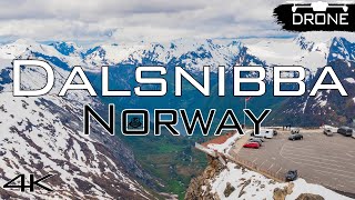 Insane Views You CANT MISS Dalsnibba Traveling In Norway [upl. by Ahael]