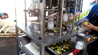 Apple coring and slicing machine [upl. by Annmarie991]