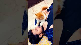 Biloni Malik Ko bevkuf banaya 🤣😂 cat billikicomedy comedy billicomedy funny memebers [upl. by Htiekel940]