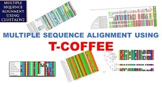 Sequence Alignment  Multiple Sequence Alignment  TCOFFEE  Bioinformatics Tutorials [upl. by Herm]