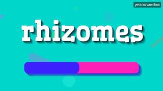 RHIZOMES  HOW TO PRONOUNCE IT [upl. by Esilahs]