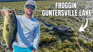 What You Need To Know About Fishing A FROG Lake Guntersville [upl. by Helenka186]