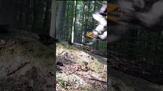 Freeride mtb dirtpark downhill mountainbike mtblife jump [upl. by Pellikka]