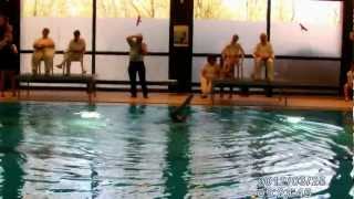 Synchronschwimmen TSV E Karlsfeld SDMS 2012 1platz CSolo  Gratzl [upl. by Rugen]