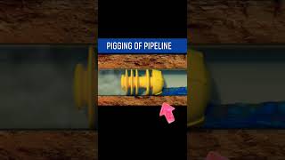 Pigging of Pipeline trending piping viral [upl. by Anyale]