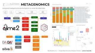 Metagenomic Data Analysis on TBioinfo Server QIIME2 [upl. by Naujed]