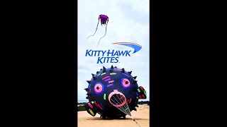 Kitty Hawk Kites Festival 2024 shorts [upl. by Merilyn]