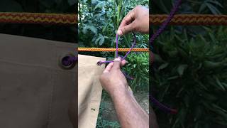 👍 For Tarp Corner Slip knotcampingbushcraftssurvivalknots [upl. by Huggins]