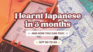 I Taught Myself Japanese in 3 Months 🇯🇵  N5 to N3 LEVEL 📚💫 [upl. by Erdnaet947]