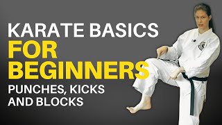 Karate Basics for Beginners Followalong Lesson [upl. by Thorner]