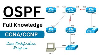 OSPF Routing Complete Guide And Advanced Lab With real Images A Big Lab For OSPF Routing  Live [upl. by Osber]